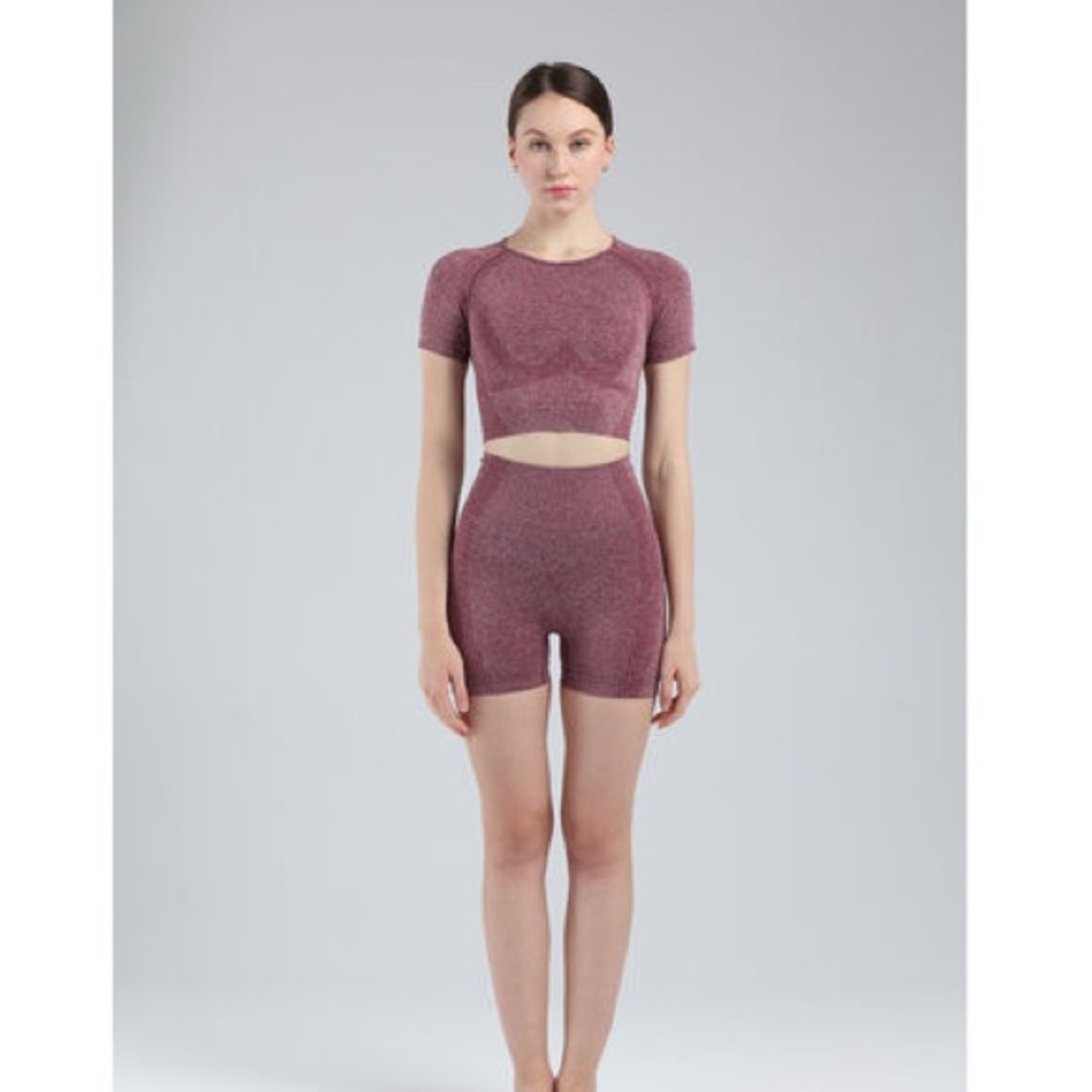 NWOT Crop Top Seamless Workout